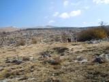 03. u bespućima Dinare